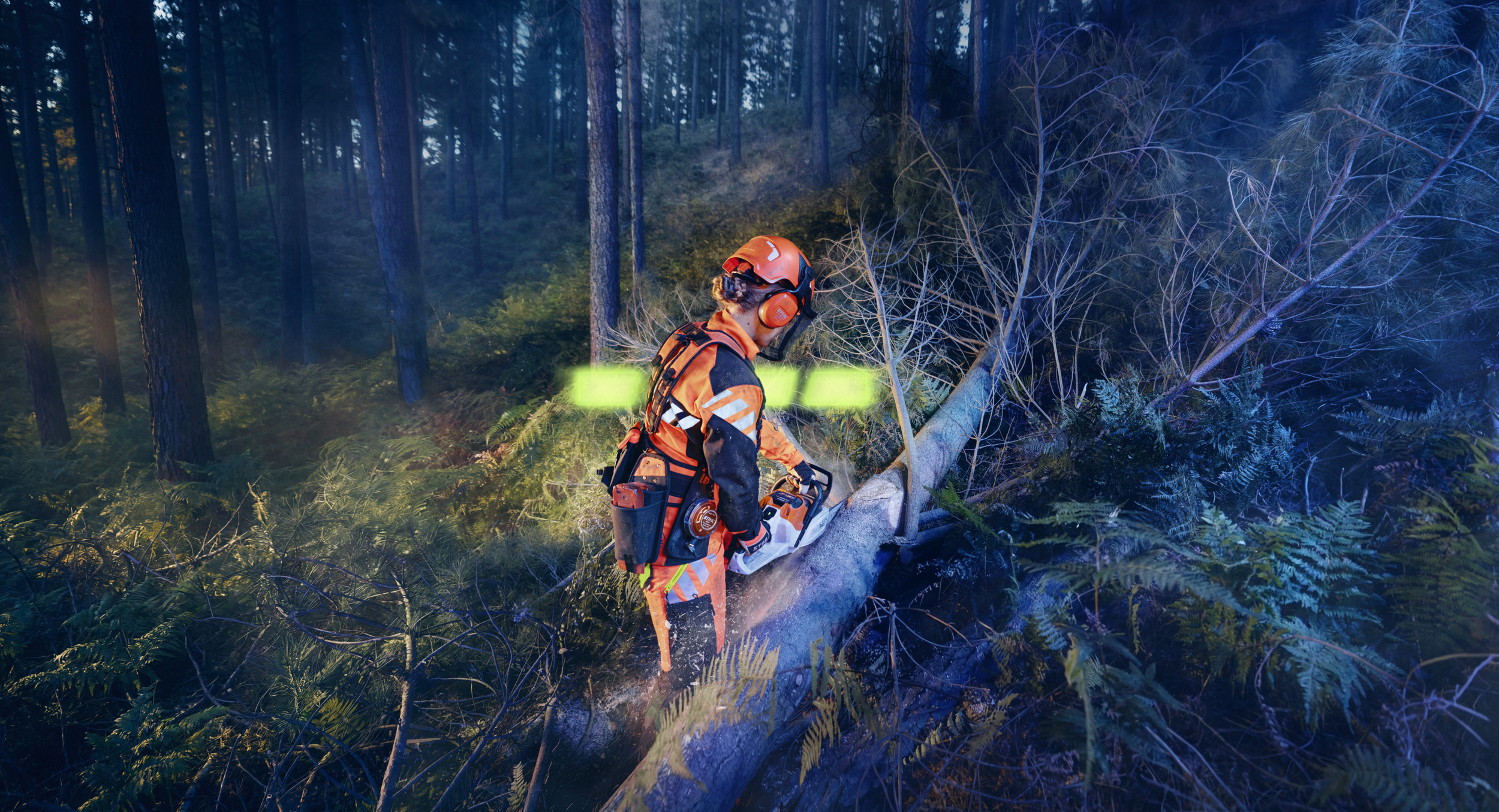 STIHL ALLPRO używany w MSA 260 podczas prac leśnych