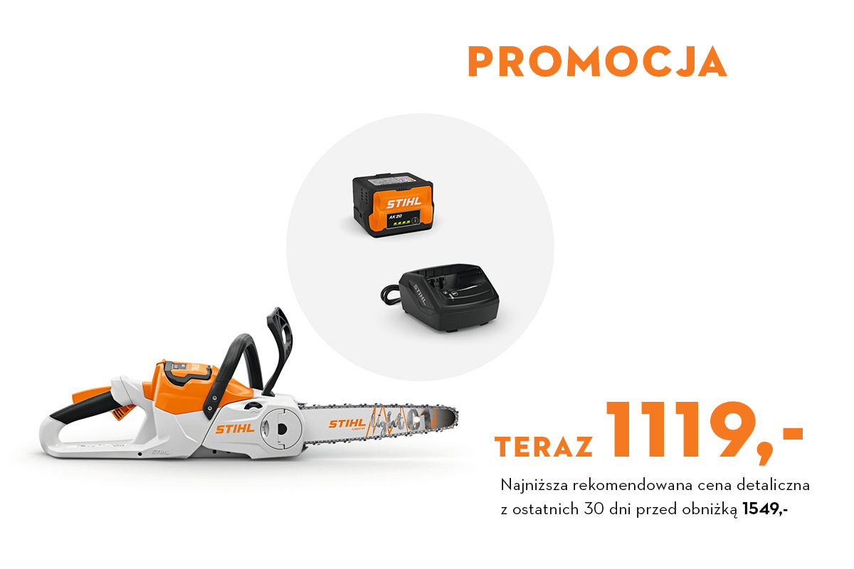 Pilarka MSA 60 C-B, zestaw z akumulatorem AK 20 i ładowarką AL 101